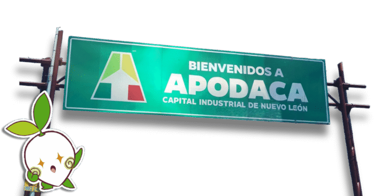 CLASES DE JAPONES EN APODACA