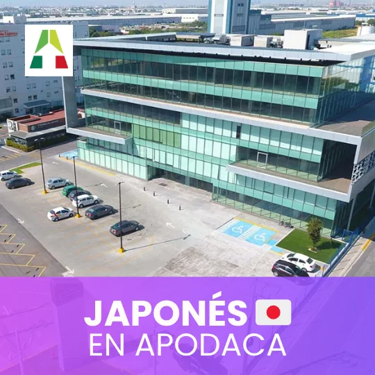 CLASES DE JAPONES EN APODACA